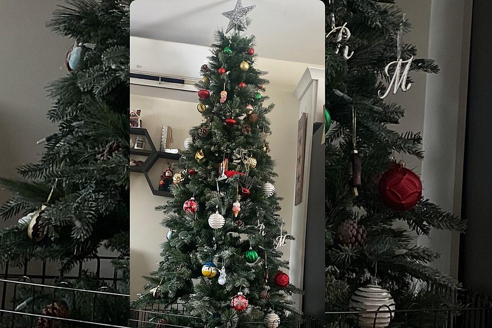 SouthCoast Debates: When To Take Down The Christmas Tree