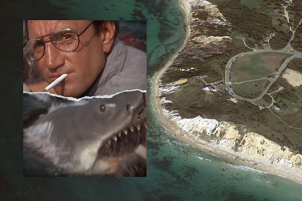 'Jaws' 50th Party on Vineyard in the Works