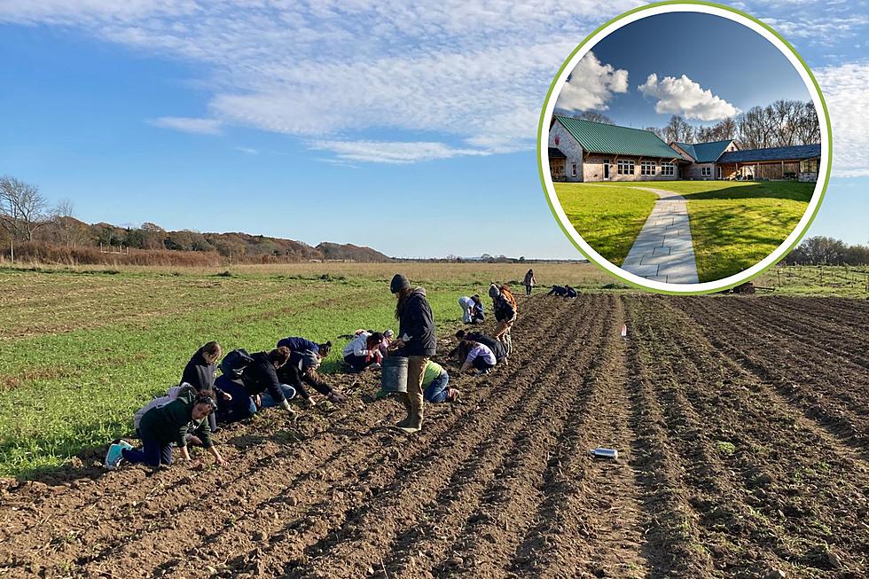 Dartmouth Non-Profit To Host Its First Ever ‘Farmraiser’ in April