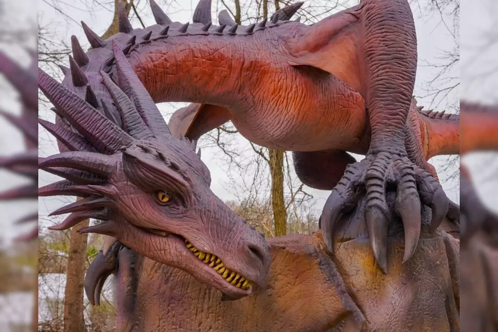 Dragons & More Are Coming To Roger Williams Zoo In Providence