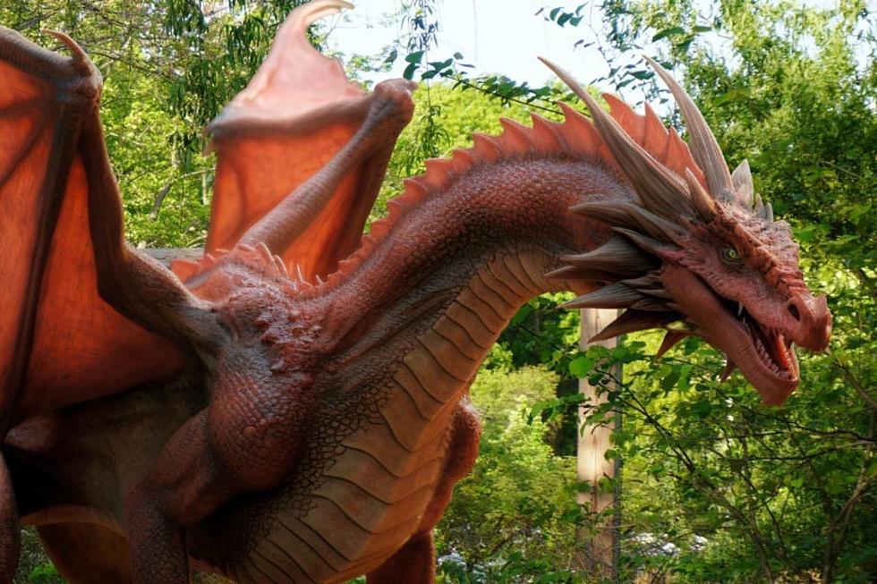Providence Zoo Introducing New Immersive Dragon Exhibit This Summer