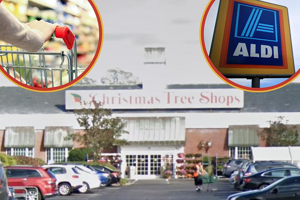 Former Falmouth Christmas Tree Shop Scores Trendy New Tenant