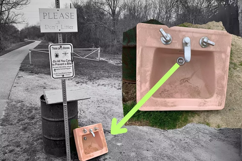 Who Dumps a Dirty Pink Sink On the Fairhaven Bike Path?