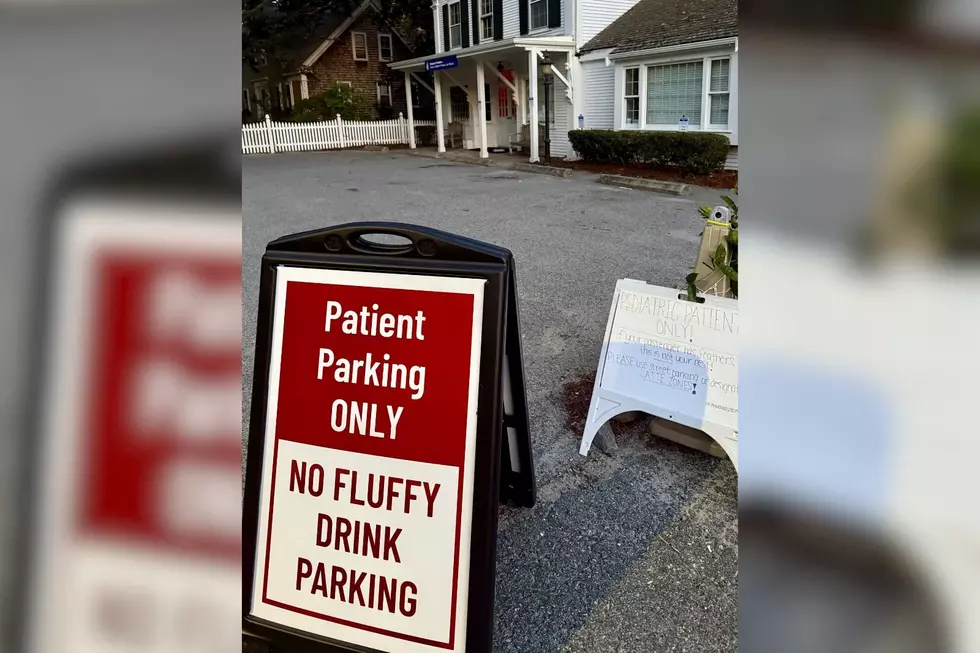 Cape’s Viral Drink Craze Hits New Bedford – With a Side of Parking Drama