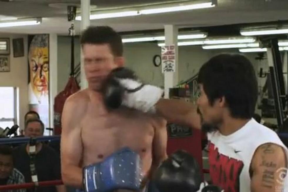 Watch Daniel Tosh Get Punched in the Face By Manny Pacquiao [VIDEO]