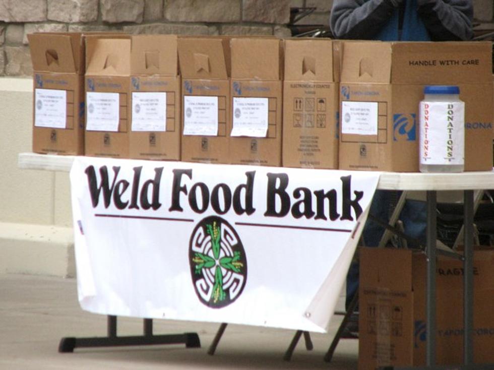 Helping Those in Need This Holiday Season – The Northern Colorado Empty Stocking Fund Kicks Off Today