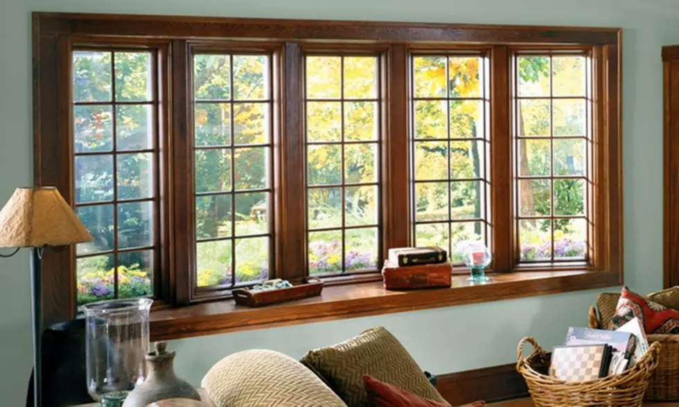 Why You Should Choose Renewal by Andersen Replacement Windows