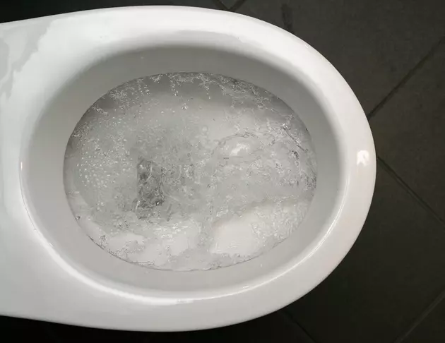 Toilet That Reads Your Butt Like a Fingerprint