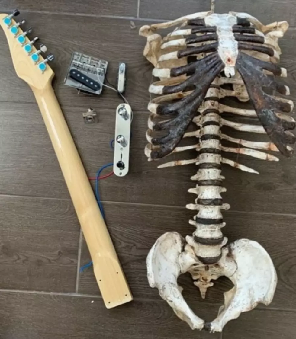 Human Skeleton Guitar