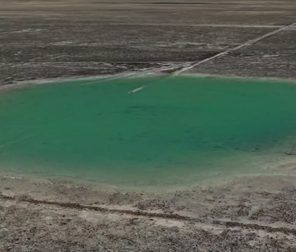 West Texas Oasis outside Fort Stockton or toxic pond?