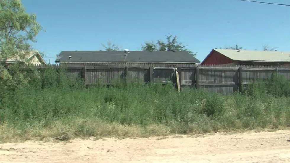 City of Odessa Reminding Residents to Cut Tall Grass and Weeds on Their Property