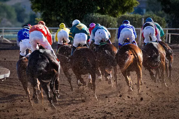 Horseracing in Presidio? It Could Happen After November