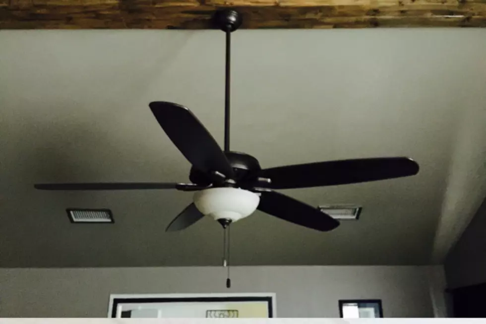 Staycation Day #4: The Ceiling Fan