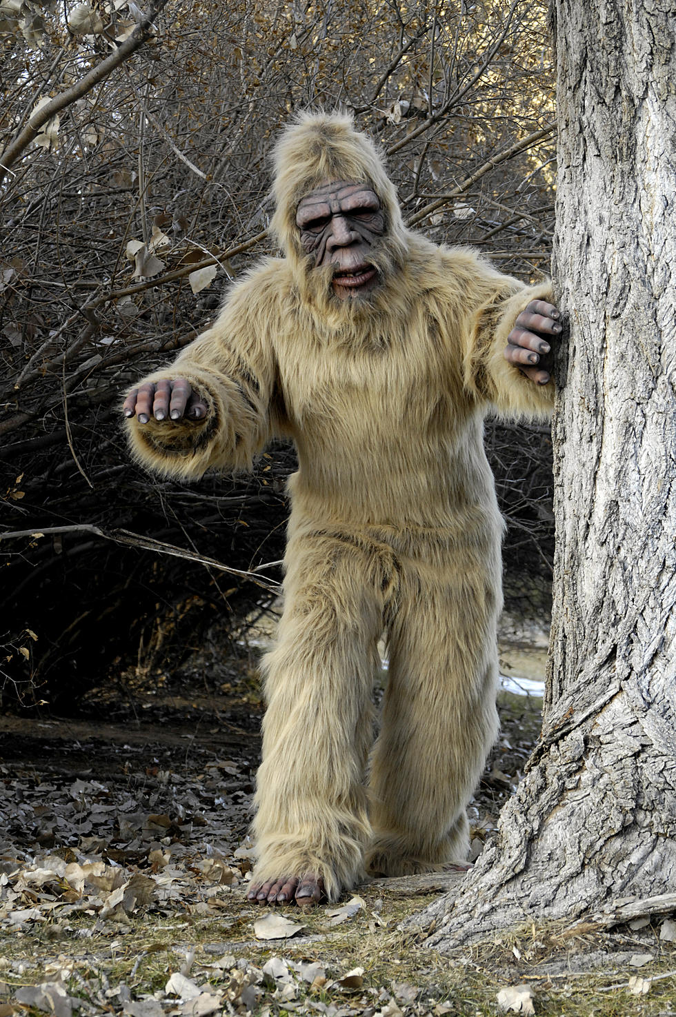 Bigfoot In Texas? Warm Weather Brings Out Hibernating Creatures In The Lonestar State