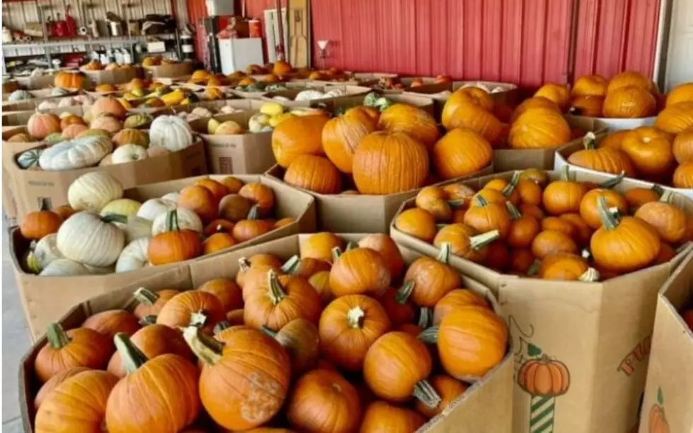 Did You Know The “Pumpkin Capital Of The U.S.” Is Only Two Hours From Midland/Odessa