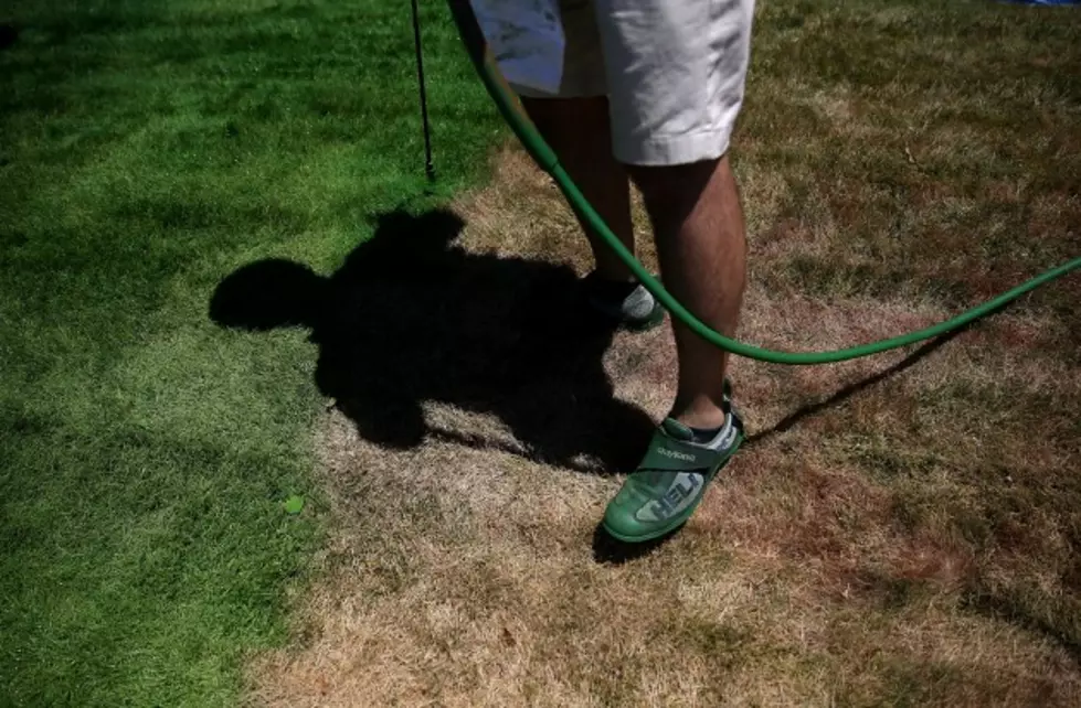 Can&#8217;t Water Your Lawn? How About Painting It Green Instead? [Video]