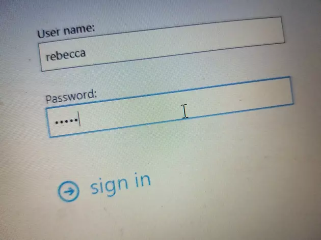Passwords, Usernames And Security Questions&#8230;.OH MY!