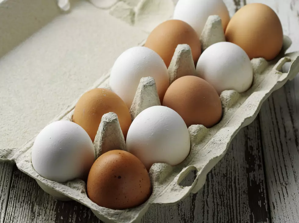 Do You Put Empty Egg Shells BACK In The Carton – Leo and Rebecca Buzz Question