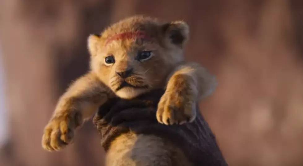 Lion King Just As Good As The Original – Leo’s Review
