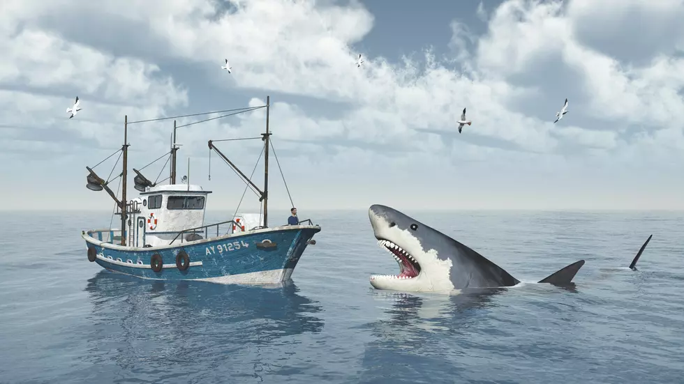 Shark Week Schedule 2020 Is HERE