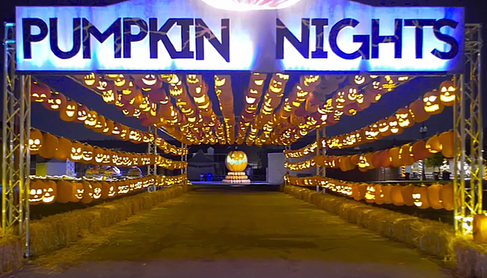 Ever Heard Of Pumpkin Nights? It’s A Light Festival Right Here In Texas