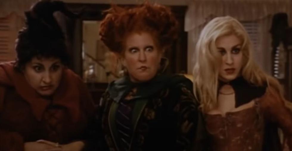 If You Are A ‘Hocus Pocus ‘ Movie Fan…Be At The Wagner Noel This Wednesday!