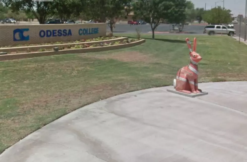 How Many Of The Odessa Jack Rabbits Have You Spotted Around Town?