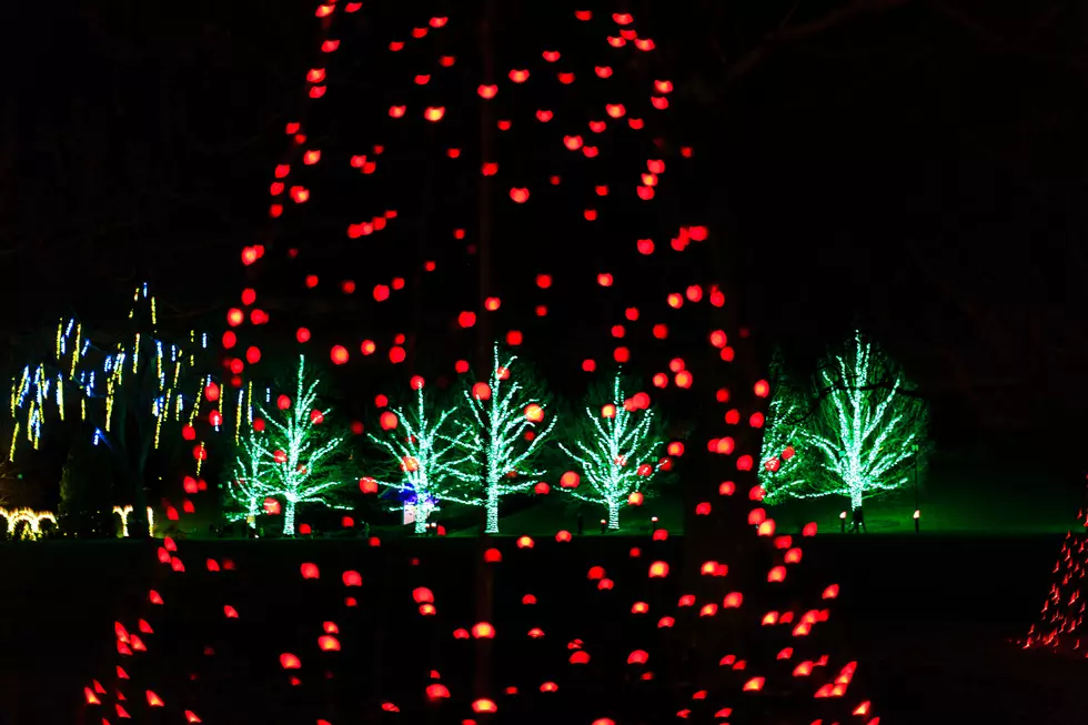 TikToker Shares Fantastic Lighted Christmas Dancing Water Show Located In Texas!