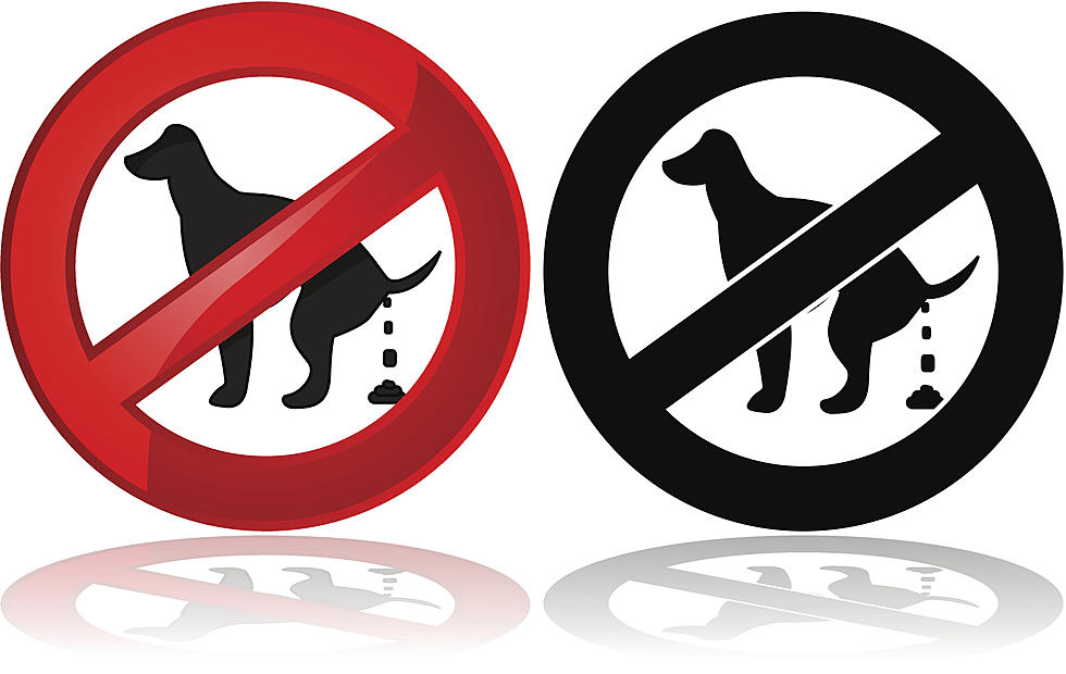 Is It Against The Law In Texas To NOT Pick Up Your Dog&#8217;s Poop?