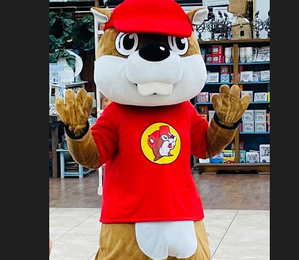 Texans Know What’s Up-20 Of My Favorite Things At Buc-ee’s!