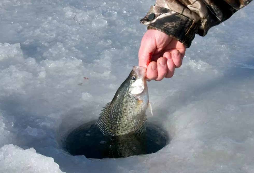Ice Fishing Preview
