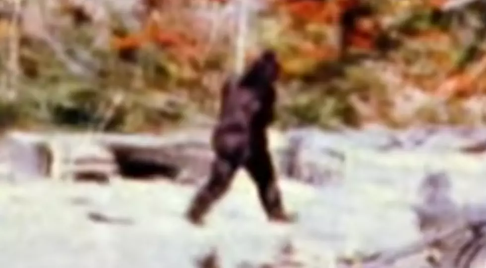 Sasquatch Hunter Launches a Startup to Find Bigfoot! [VIDEOS]