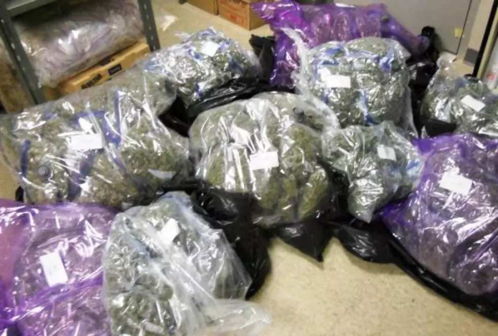 Lakeville Man Found in Possession of Approximately 128 Pounds of Marijuana