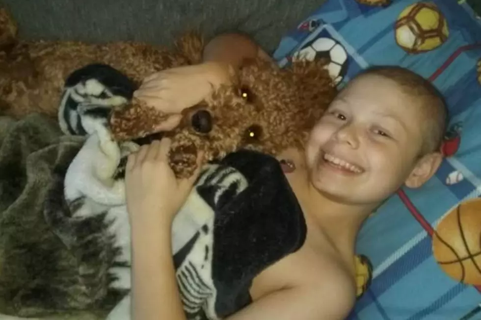 Golden-Doodle Puppy Helps Pediatric Cancer Patient Cope with Treatment