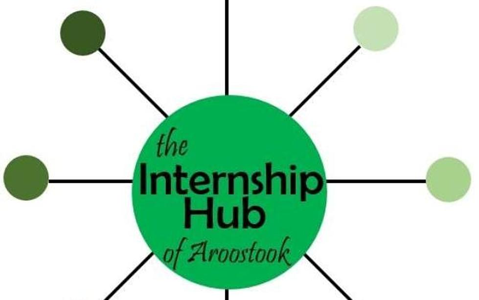 Internship Hub Seeks Summer Placements