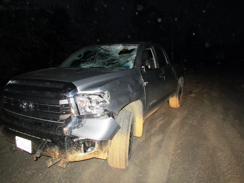 Pickup and Moose Crash in Mapleton [PHOTO]