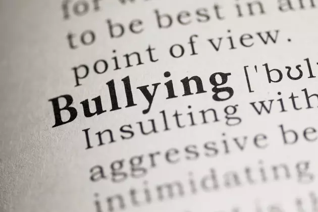 Maine Will Participate in Review of Anti-Bullying Laws