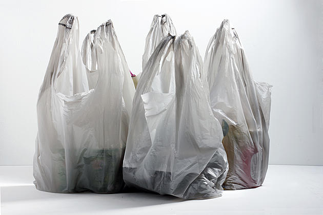 Maine Lawmakers Seek to Ban Plastic Bags Statewide