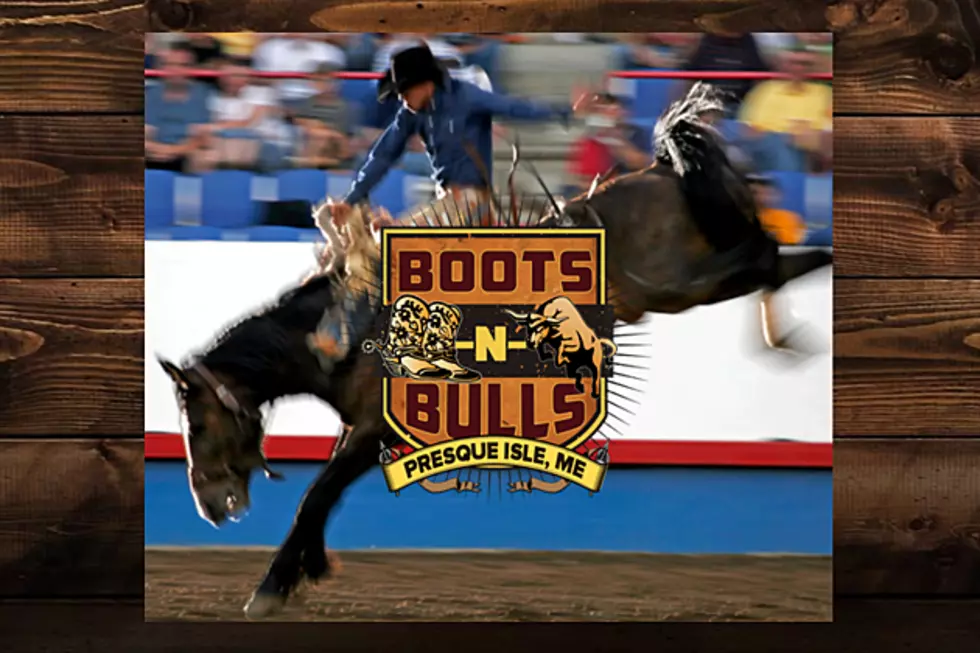 Boots-N-Bulls: The Skills & Rules of Bronc Riding