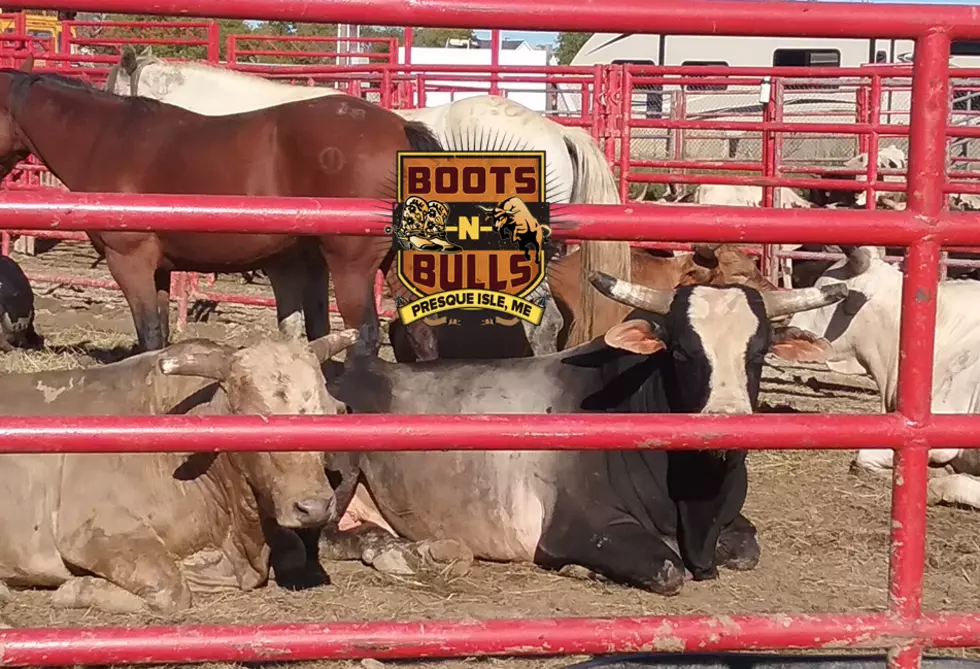 Boots N’ Bulls: The Best Rodeo & Music Event of The Year