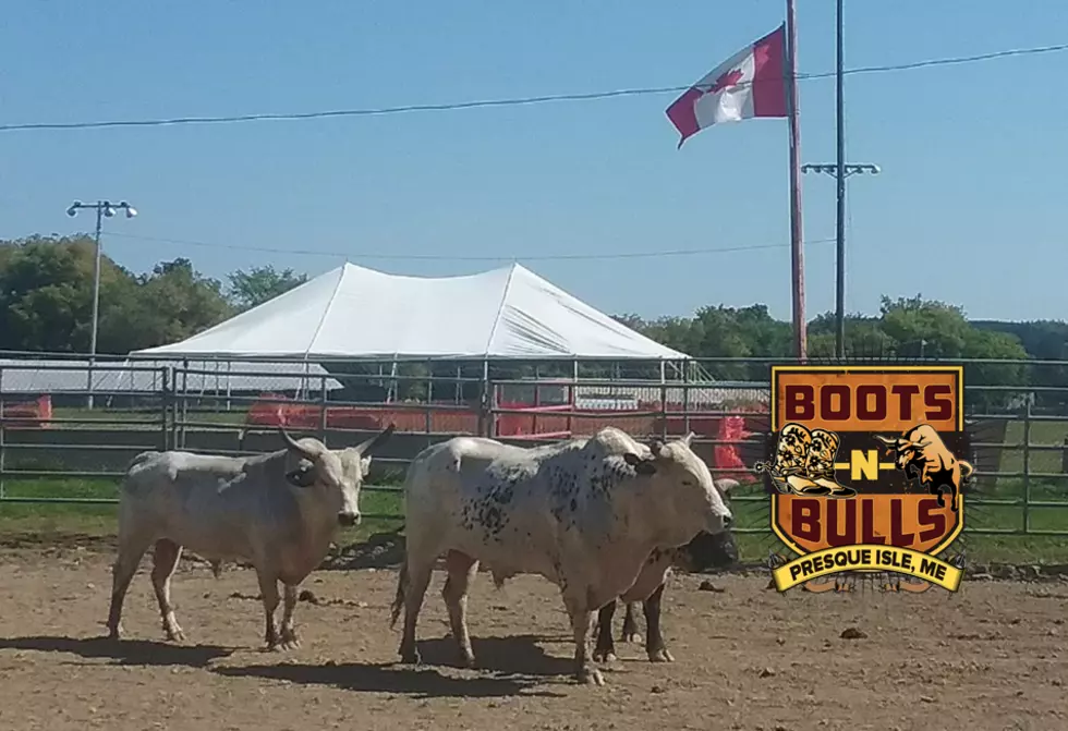 Boots N’ Bulls: Bull Riding Video from 2018