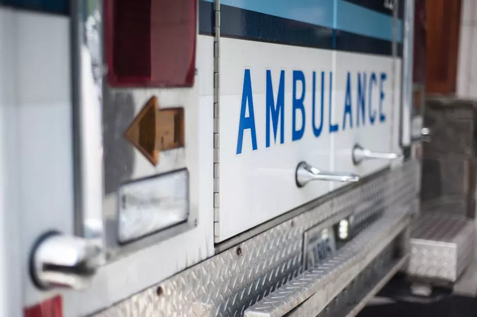 Moose & Three Cars Involved in I-95 Crash; Medway Woman Injured