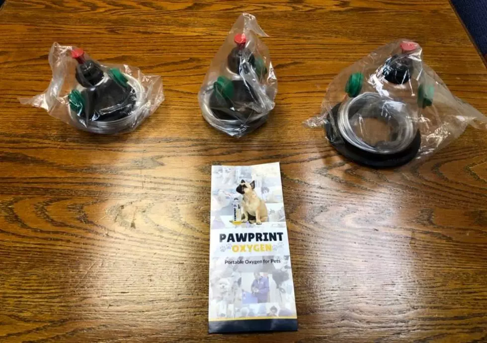 Portable Oxygen Masks for Pets Anonymously Donated to PIFD