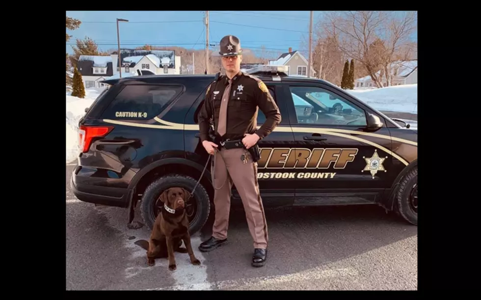 Aroostook County Sheriff’s Office Welcomes Deputy & K-9