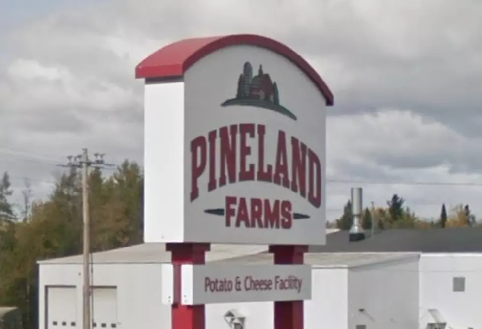Pineland Farms Giving Away 4500 Boxes of Food to County Residents