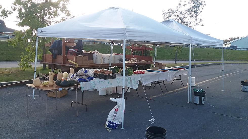 Have You Been to Zook’s Family Farm Stand in Presque Isle, Maine?