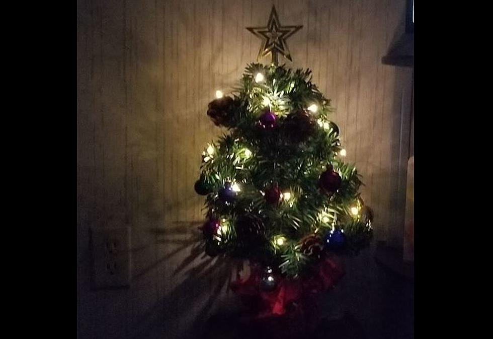 Listeners’ Christmas Trees are Festive & Dazzling