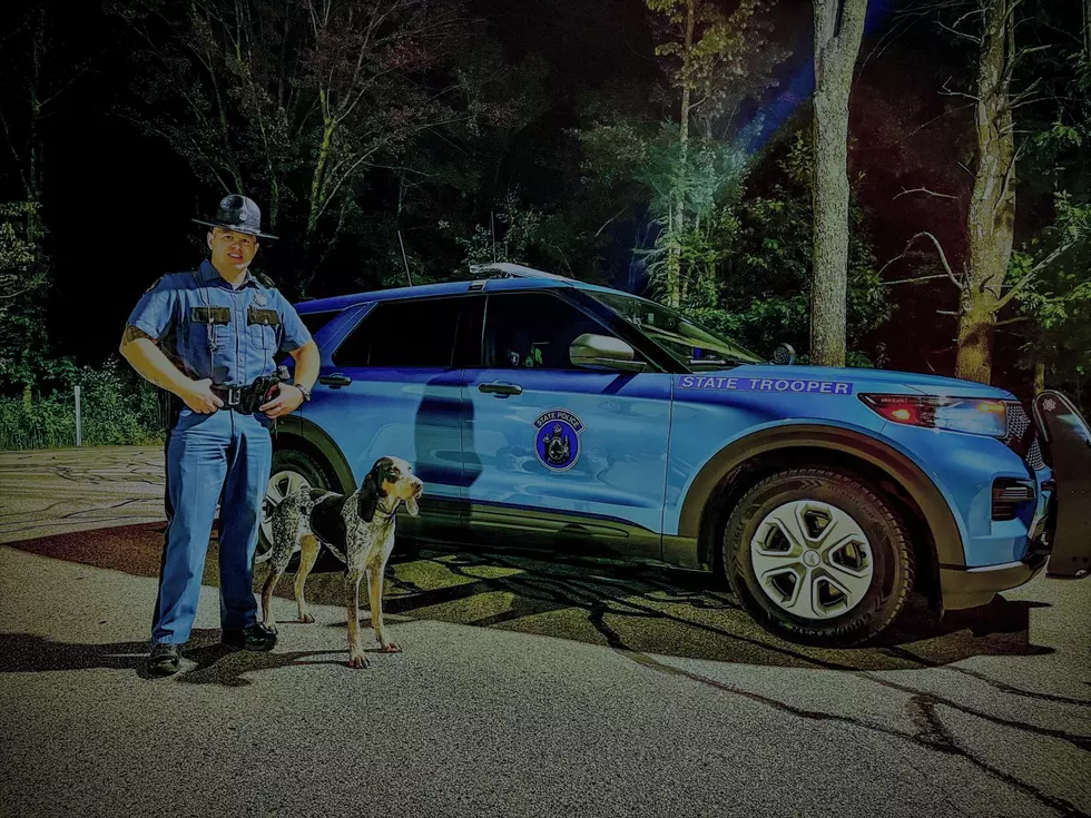 Maine State Police Find Missing Hunting Dog after Crash, York, Maine