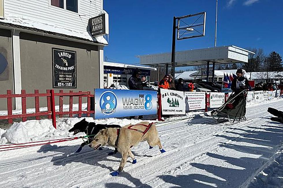 Can-Am Crown Results: Mushers from Northern Maine & Western New Brunswick