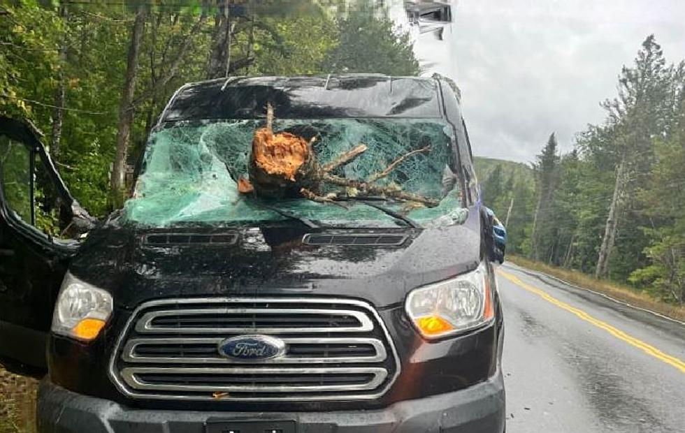 Falling Tree Crashed Through Windshield with Six People Inside Van